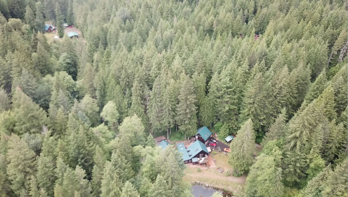 An aerial view reveals a guest house nestled in a dense forest of evergreen trees. The structure, featuring green roofs, is surrounded by lush foliage, with a serene pond nearby reflecting the greenery. The remote setting showcases the peacefulness of the wilderness.