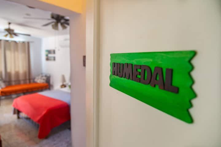 Habitación #1 (Suite Humedal)