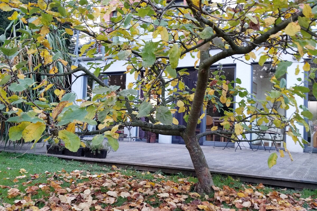 A quaint outdoor space is seen, featuring a tree with yellowing leaves, framing a wooden deck area. The backdrop includes large glass doors, providing a view into the interior. Leaves cover the ground, hinting at the seasonal changes in the garden.