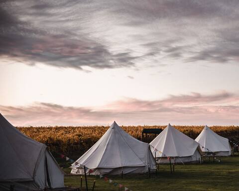 Glamping Bell tent w/ power, king and elec blanket