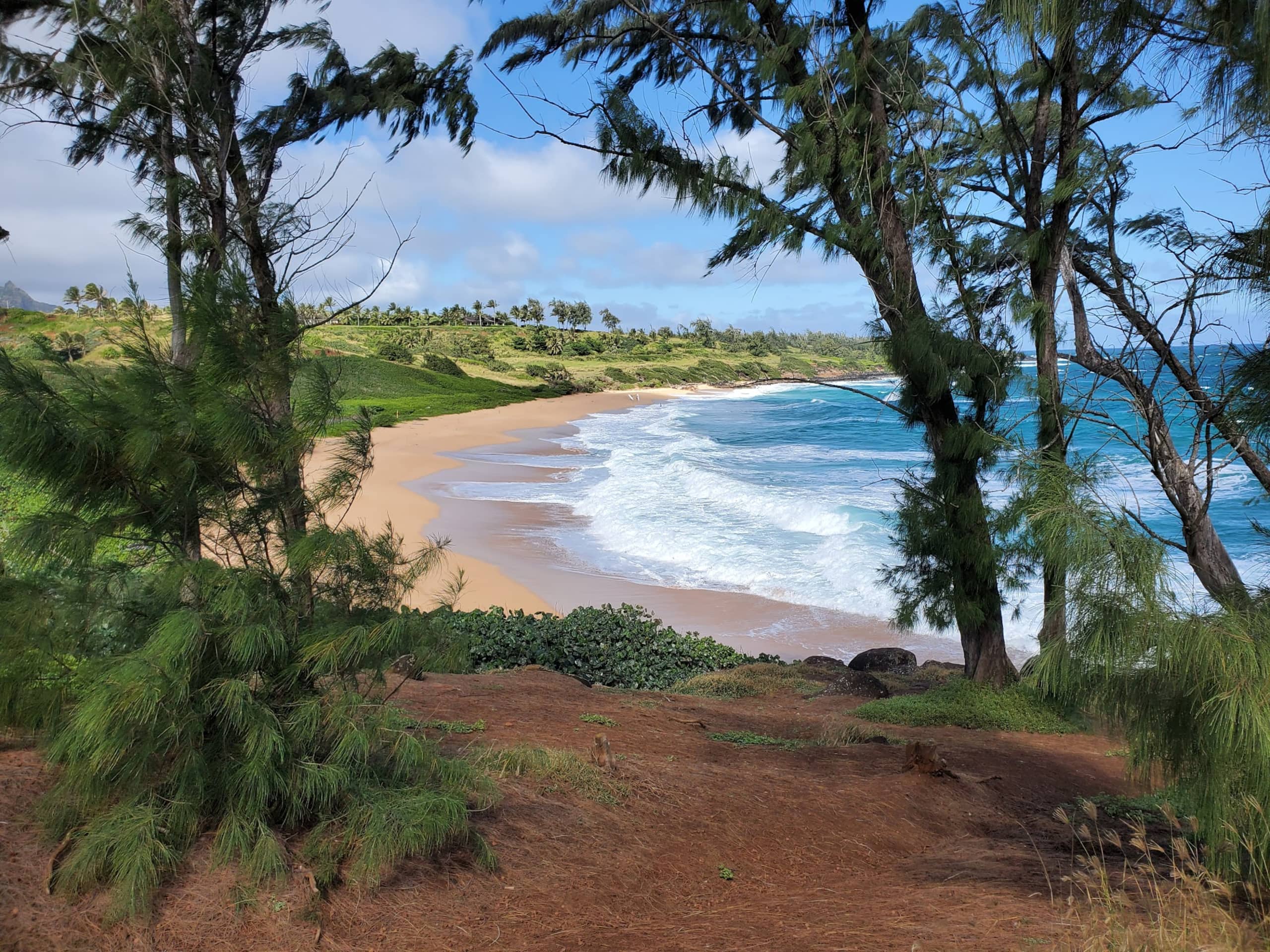 Small but sweet 1 BR apartment, walk to beach - Photo 20
