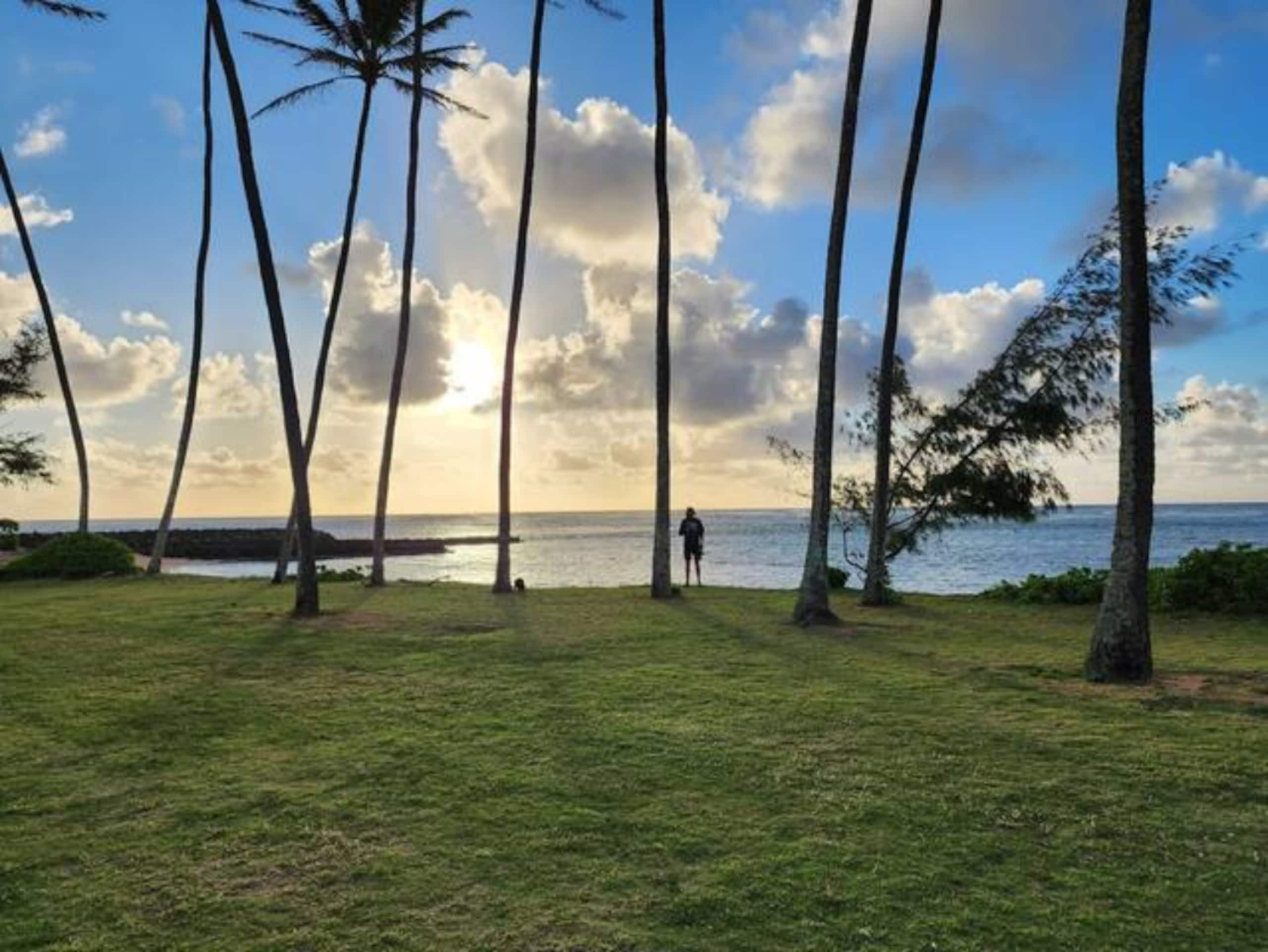 Small but sweet 1 BR apartment, walk to beach - Photo 36