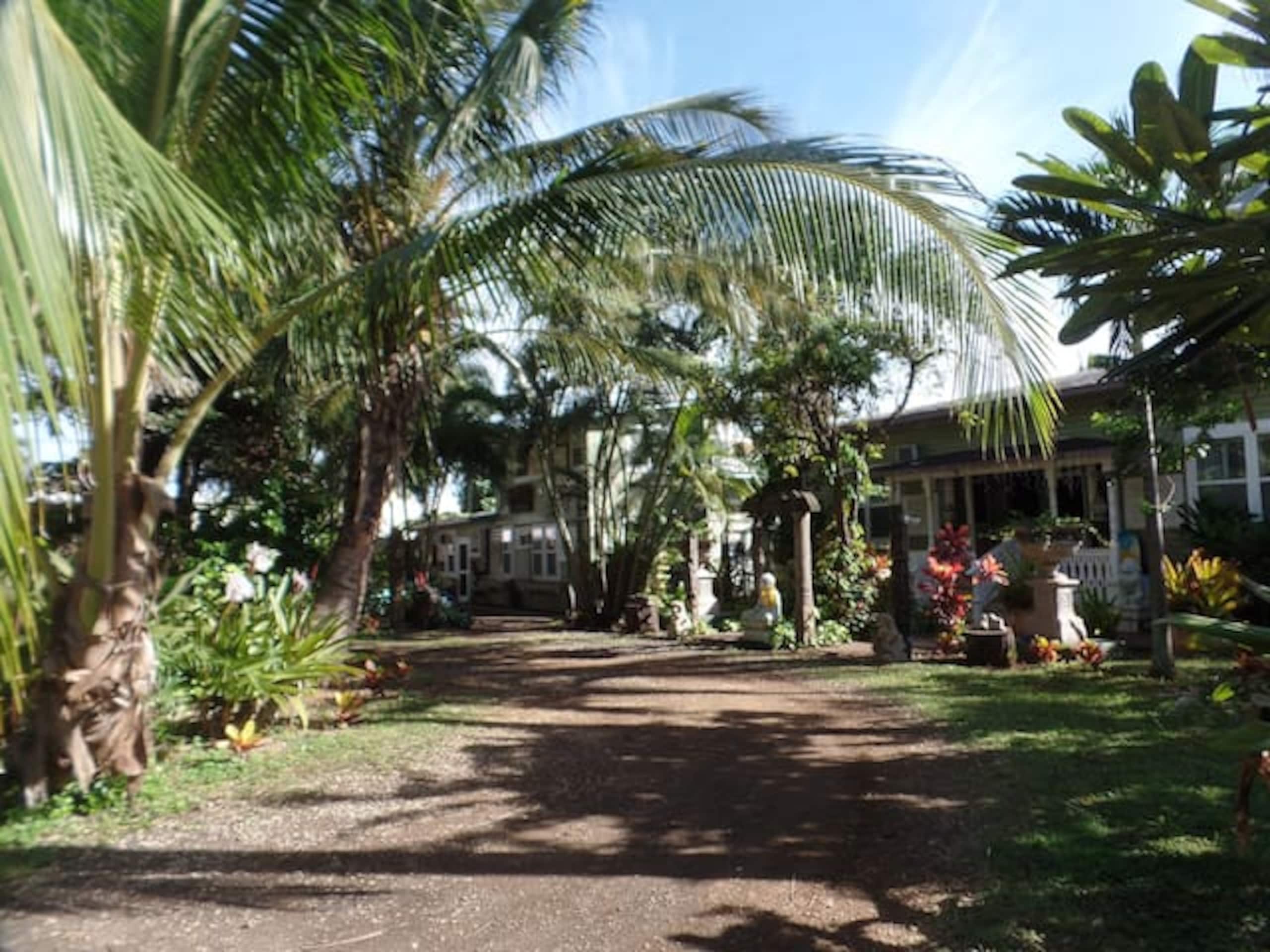 Small but sweet 1 BR apartment, walk to beach - Photo 17