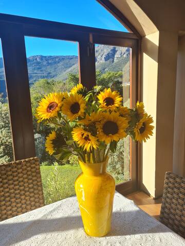 Large mountain side property, beautiful views gallery image 5