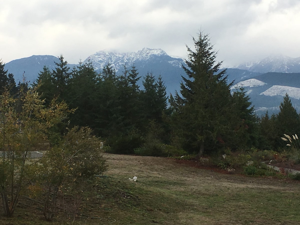 A serene landscaped area features a variety of trees and shrubs, with a view of snow-capped mountains in the background. The foreground shows an open space with patches of grass, lending a natural and tranquil feel to the vista.