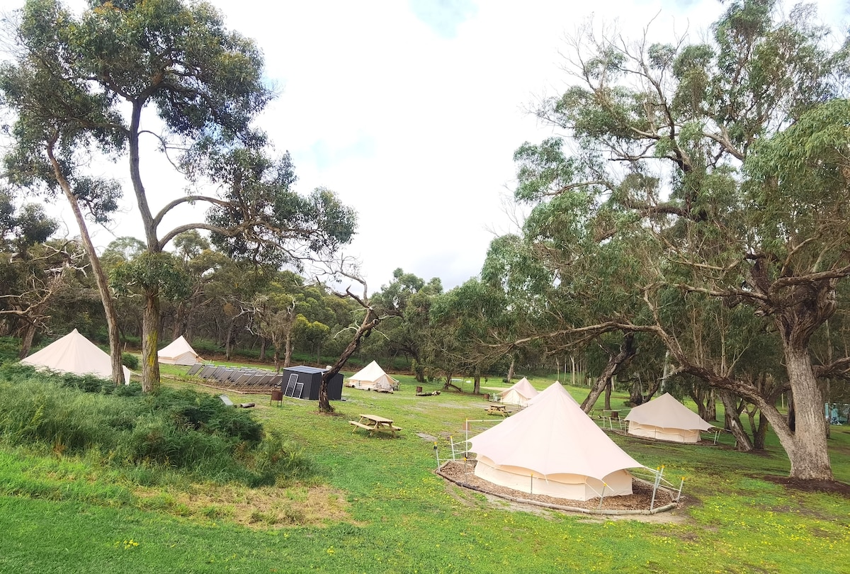 Seven identical canvas tents are arranged in a grassy area beneath tall trees. Each tent features a light-colored canopy and is complemented by picnic benches scattered throughout the landscape, providing a serene leisure space surrounded by nature.
