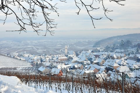Colmar 5 kms, parking, vignoble, 40 mn station ski