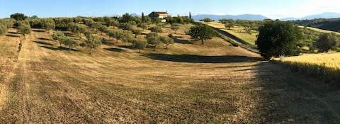 Villa Leone
