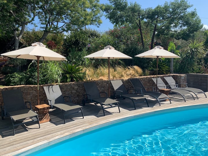 Villa Piscine Bord De Mer ️ - Corsica
