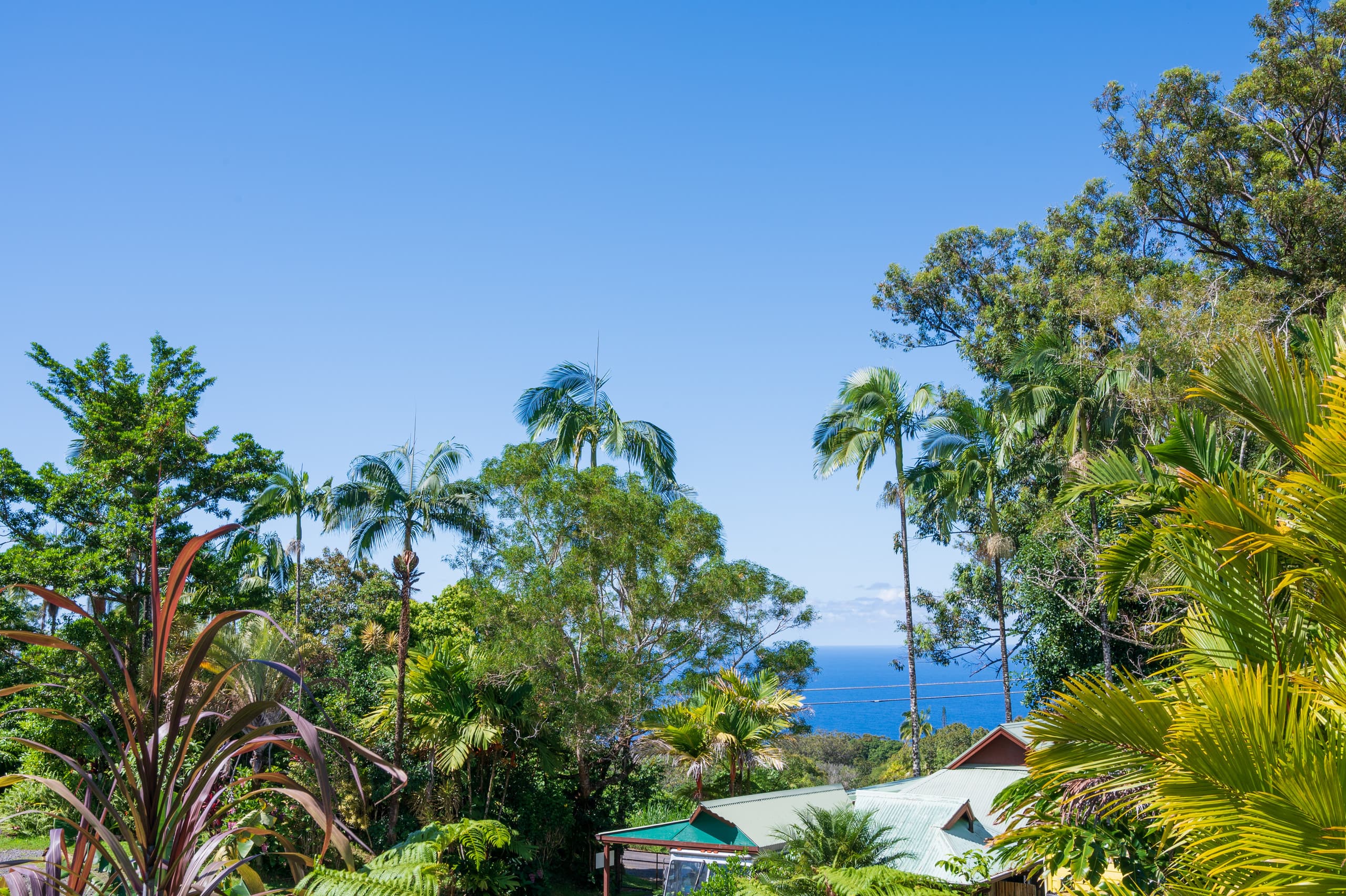 Hana Harvest Cottage - Photo 15