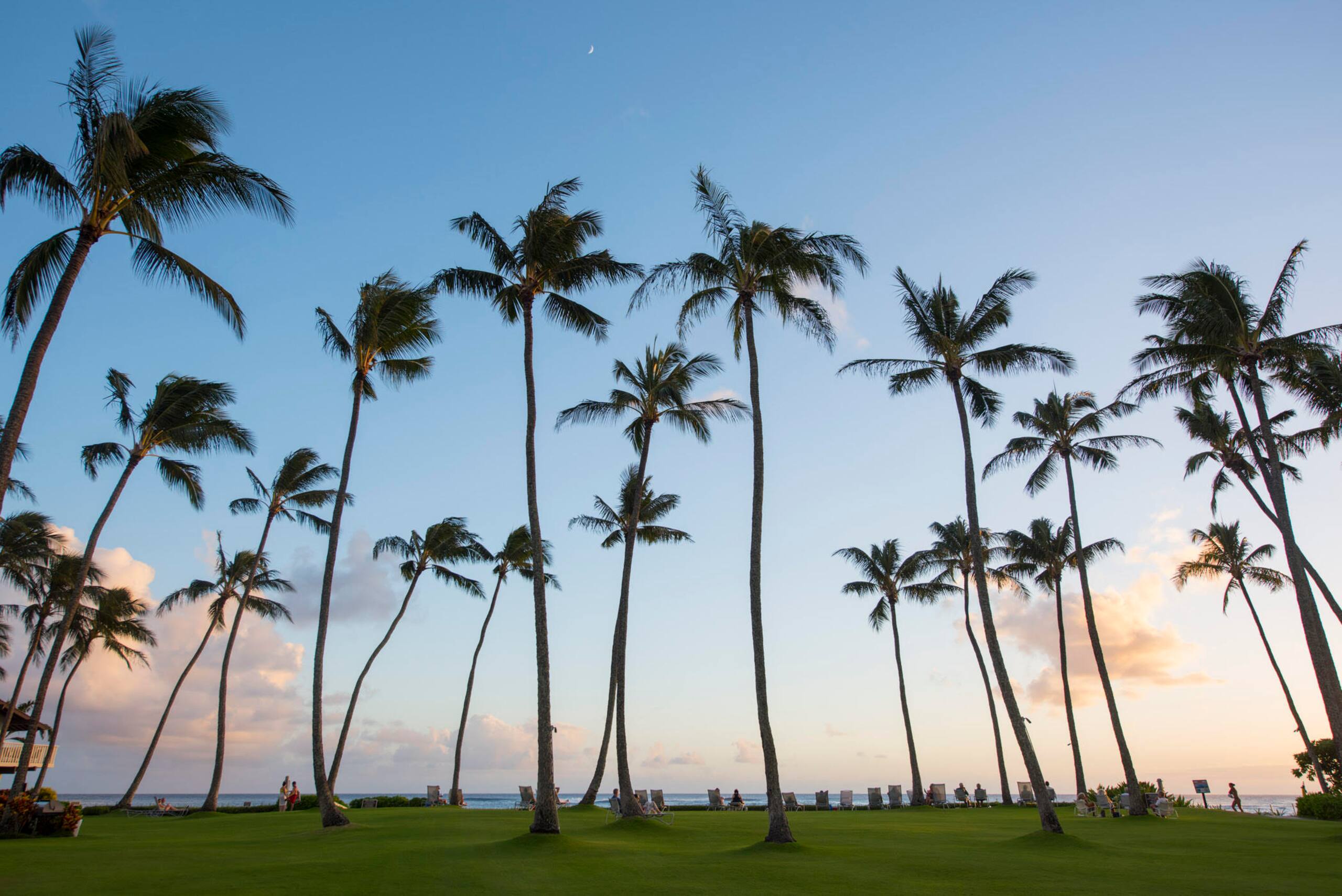 Condo in Koloa · ★4.94 · 2 bedrooms · 3 beds · 2 baths - Photo 16