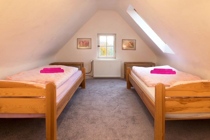 Dhomë dyshe papafingo