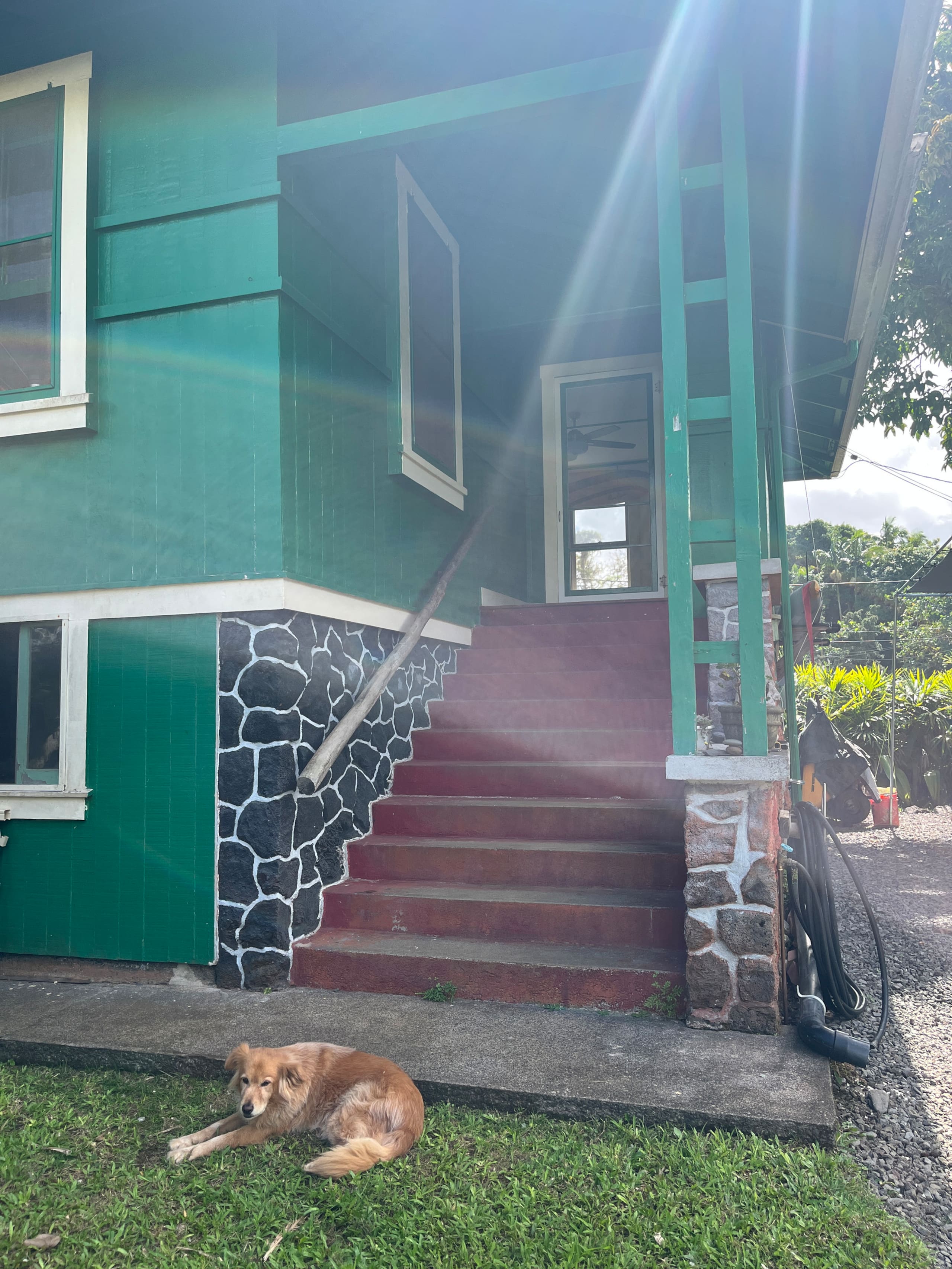 Home in Papaikou · ★4.98 · 1 bedroom · 1 bed · 1 shared bath - Image 4