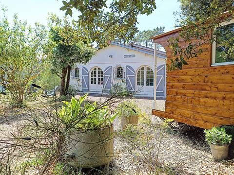 House 600 m from the beach - capacity 15 people