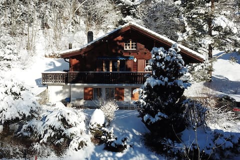 Lovely 4 bedr. chalet slope at 150m