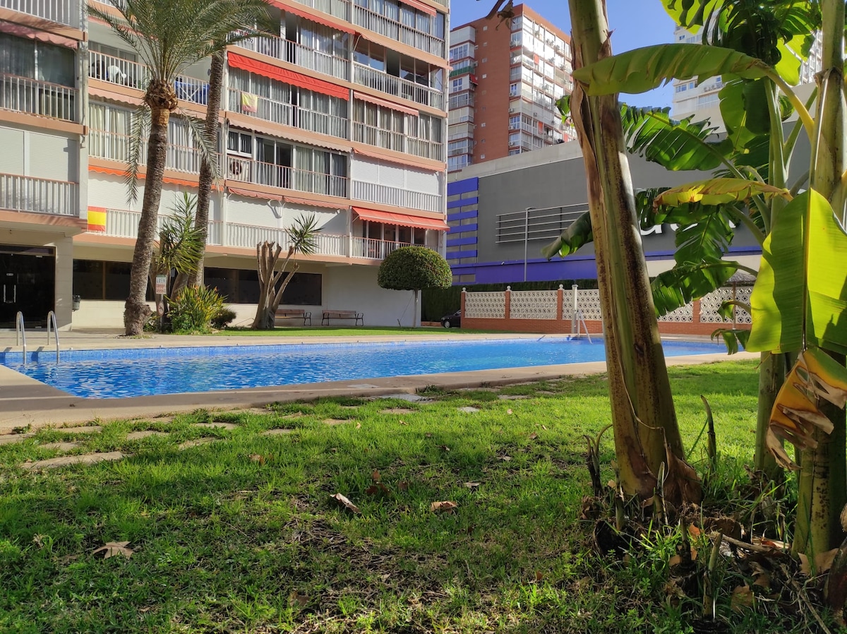 A swimming pool is framed by fresh green grass and tropical plants. The pool is surrounded by a sunlit area, with tall buildings visible in the background. A well-maintained landscape enhances the outdoor space, creating a relaxing environment for guests.