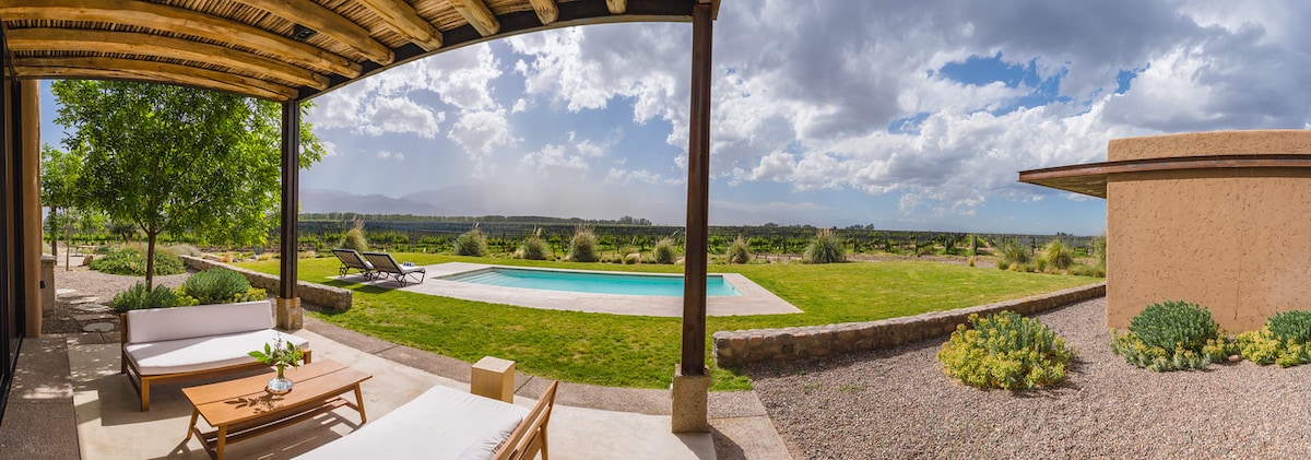 A panoramic view showcases a tranquil setting with a swimming pool surrounded by lush greenery and a vineyard. Comfortable lounge chairs are positioned nearby, inviting relaxation under a partially clouded sky, while the Andes mountains provide a picturesque backdrop.