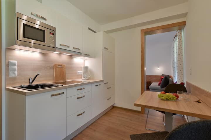 Appartement 30m² Mit Küche Und Dusche Mit Wc - Mayrhofen