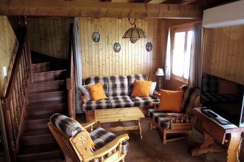 Top performing Airbnb: Chalet Derborence La Tzoumaz in Riddes