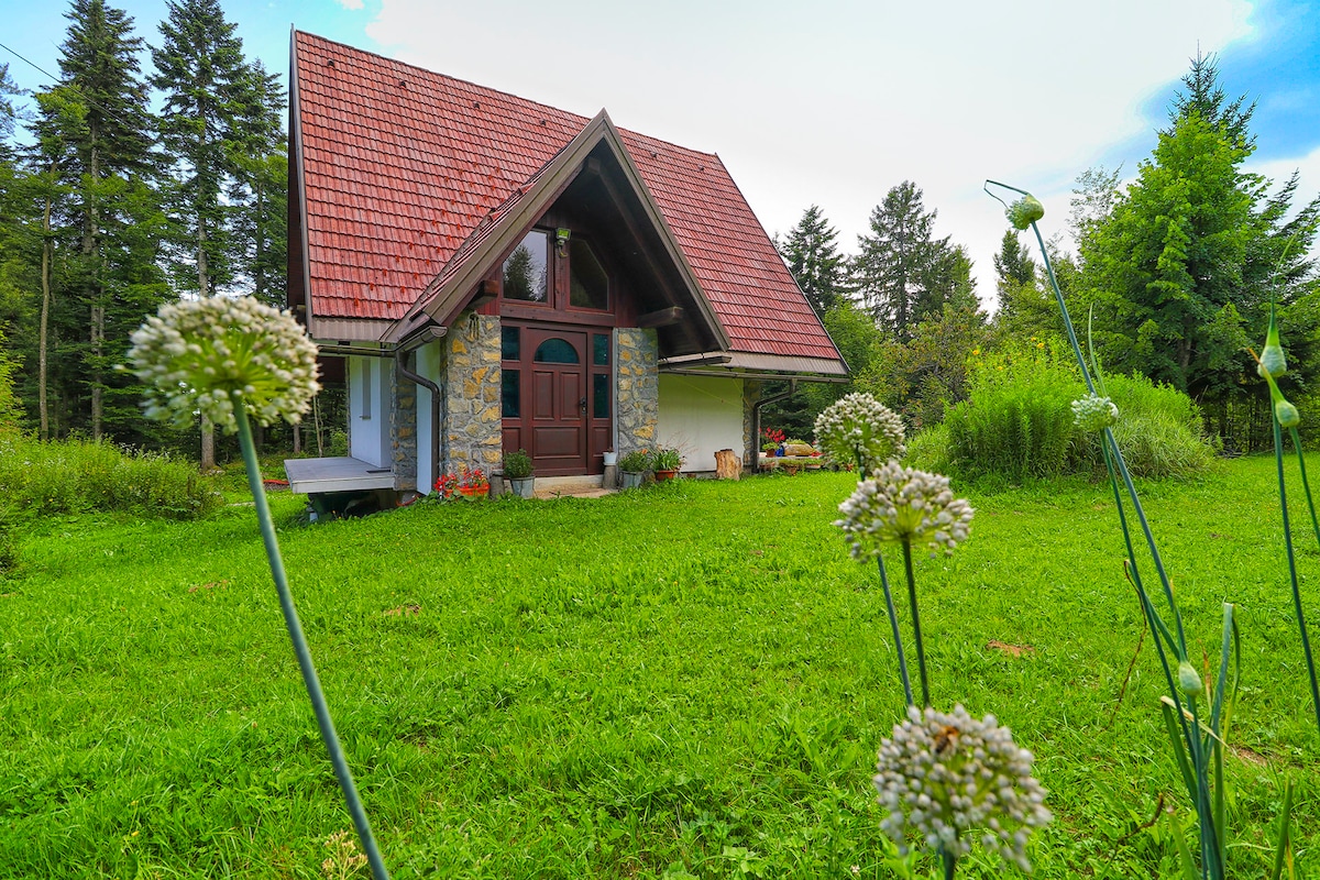 A charming holiday home features a sloping roof and a wooden front door, surrounded by lush green grass and wildflowers. Tall trees frame the residence, contributing to the natural setting. A cozy porch area is visible, enhancing the inviting exterior architecture.