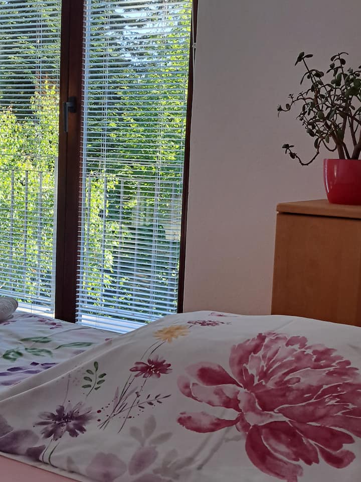 Habitación 1