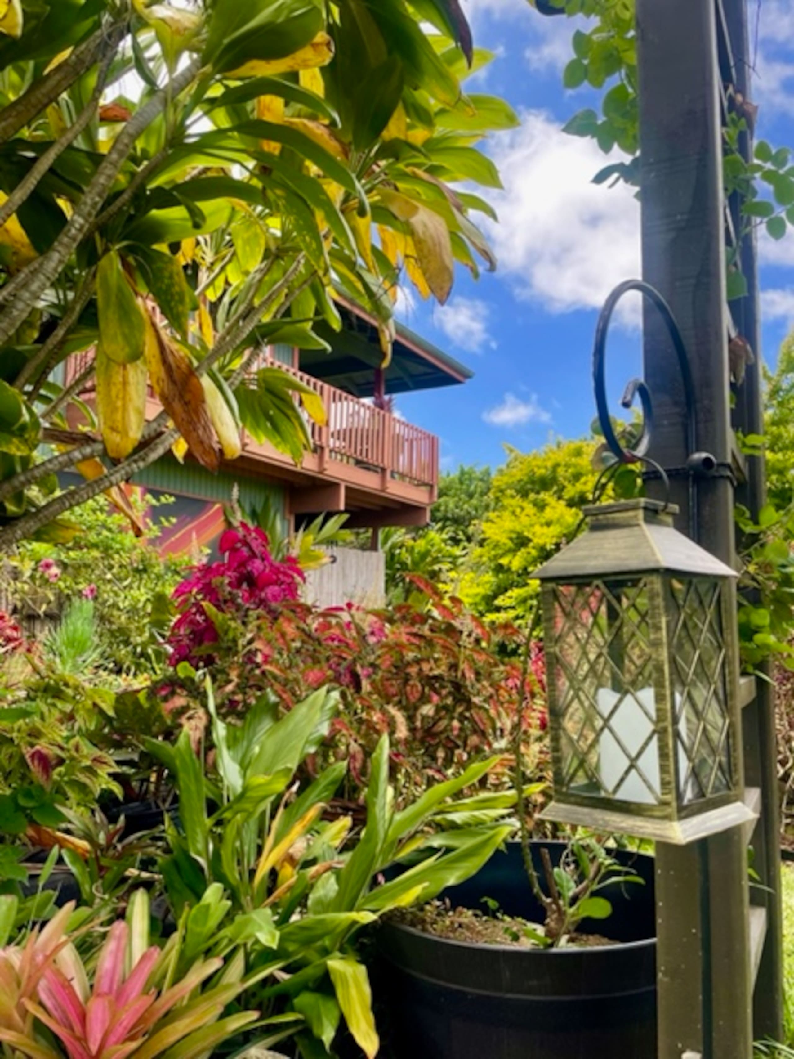 Nature Oasis, Ponds, Gardens, Green Sands Beach - Photo 28