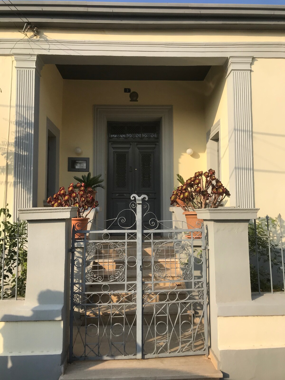 An accessible entrance to the historical house features a gated staircase leading to a grey door, flanked by potted plants. The exterior includes light yellow walls and decorative columns, contributing to the traditional architecture. Soft natural light filters onto the steps.