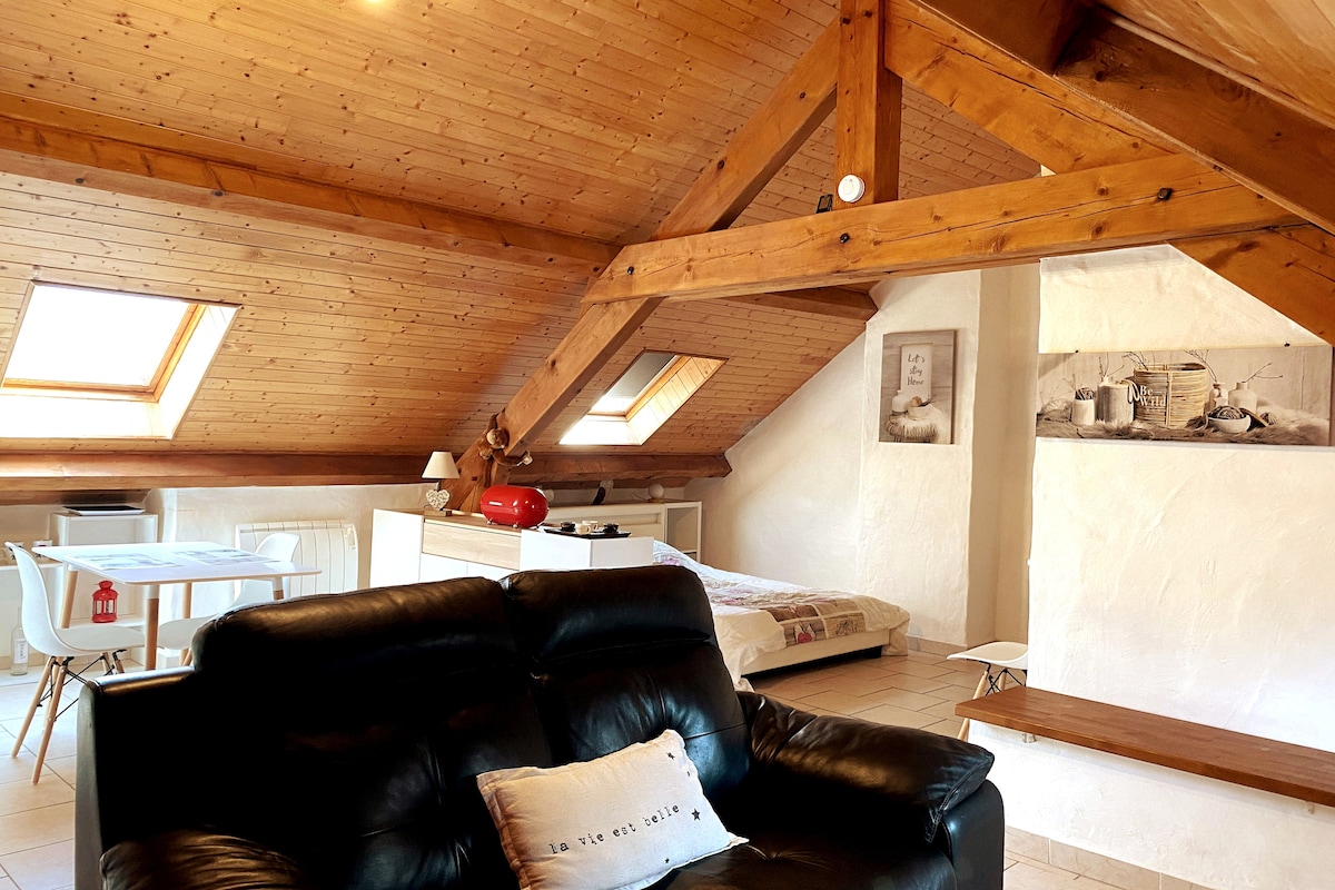 A spacious studio apartment features wooden beams with sloped ceilings. Natural light filters through skylights. A black leather sofa is positioned in front of a wall-mounted shelf, while a dining area and bed are visible in the background. Neutral tones create a calming environment.