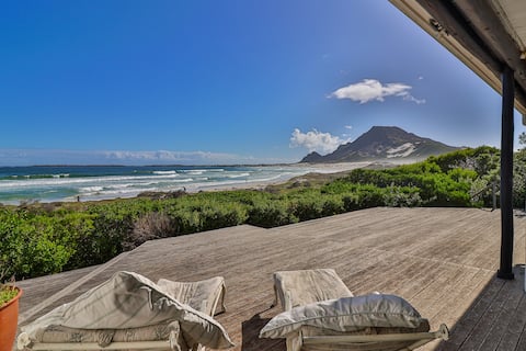 Turtle Drum in Betty's Bay