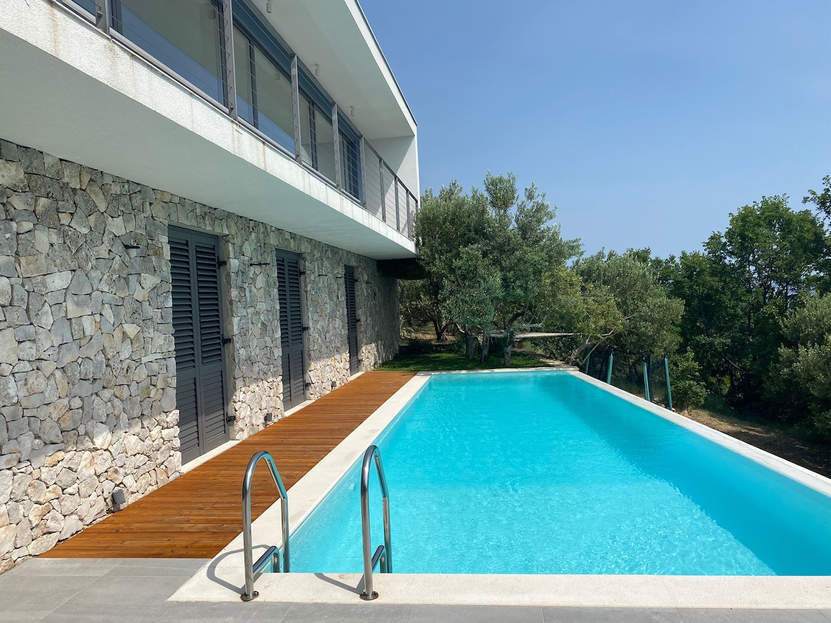 A modern villa is depicted, featuring a glistening infinity pool bordered by a wooden deck. The exterior showcases natural stone walls and large glass doors. Olive trees surround the area, highlighted against a clear blue sky.
