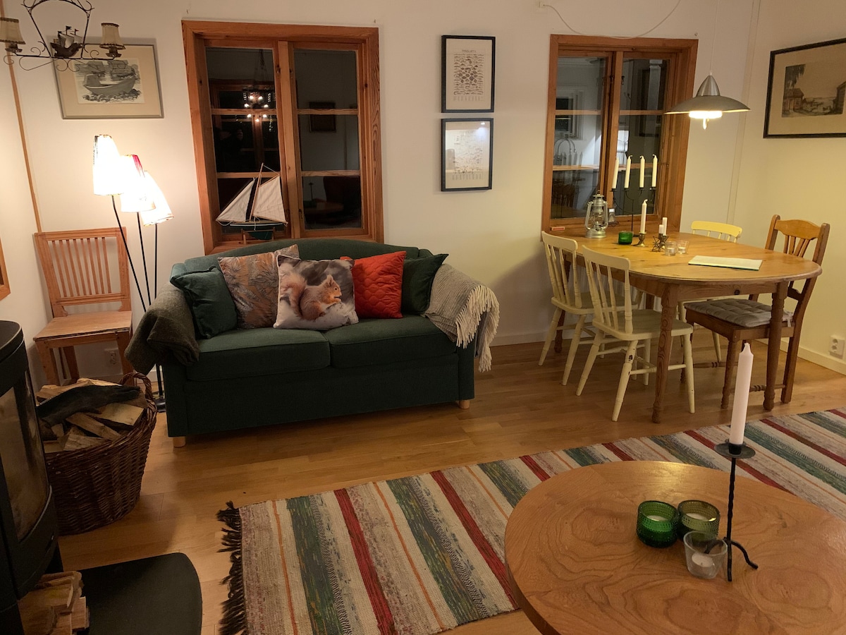 غرفة المعيشة وطاولة الطعام. موقد يعمل بالخشب. سرير أريكة.