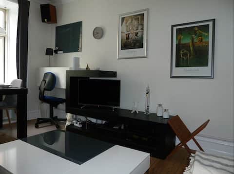 Successful Airbnb property: Cosy apartment in the heard of Copenhagen in Østerbro
