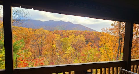 Tyro Mountain View Cabin