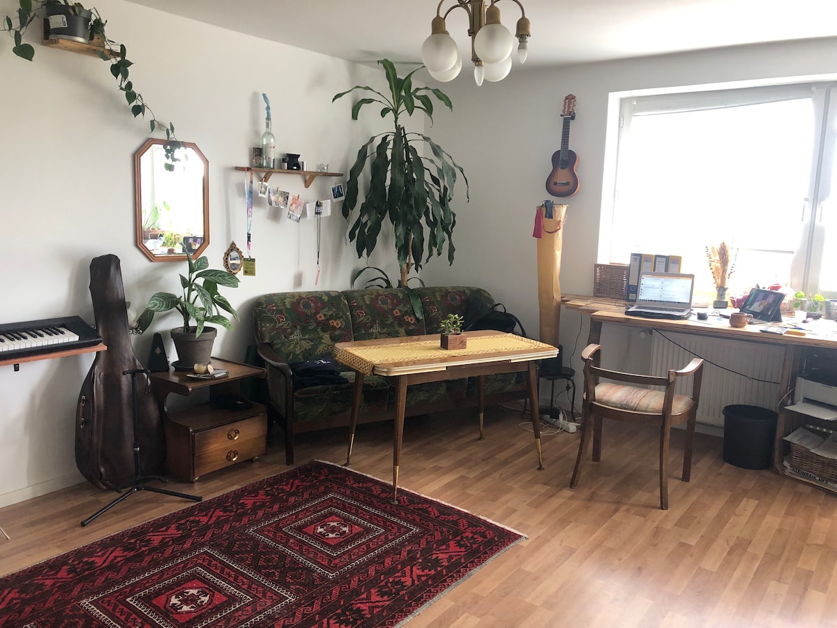 Erfolgreiche Airbnb-Immobilie: 1.5 room apartment for intermediate rental in Friedenheim