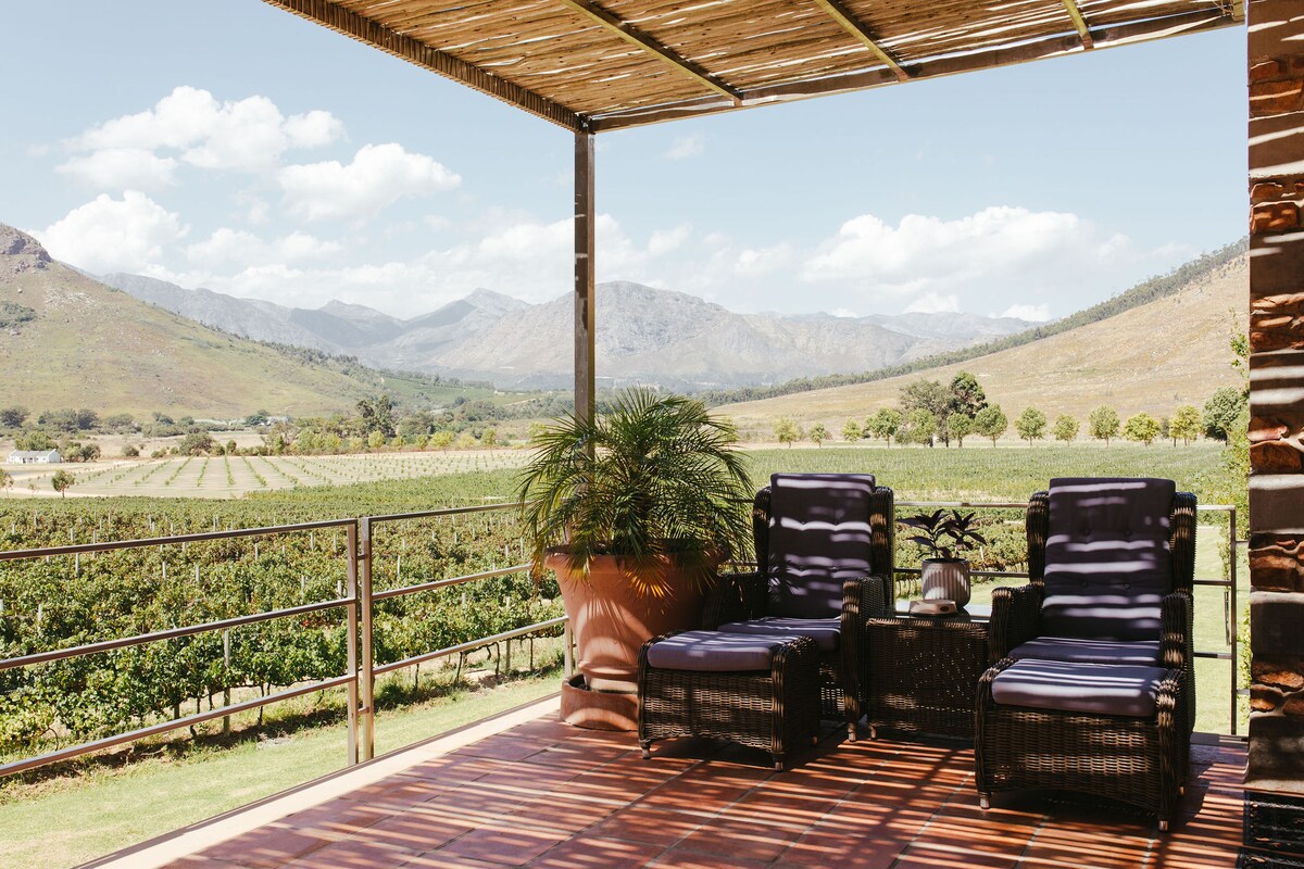 A spacious outdoor balcony is furnished with two comfortable chairs, positioned to offer expansive views of the surrounding vineyards and mountains. A large potted plant adds a touch of greenery, while sunlight casts soft shadows across the seating area.