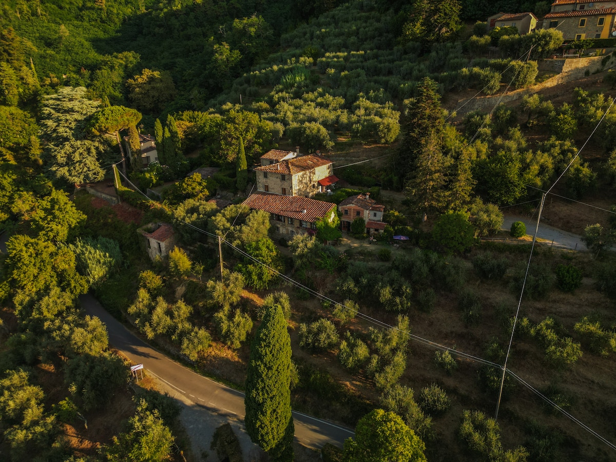 An aerial view captures a serene landscape dotted with olive trees, centered around rustic stone buildings and terracotta roofs. A winding road leads into the valley, connecting the various accommodations amidst lush greenery, creating a peaceful retreat in nature.