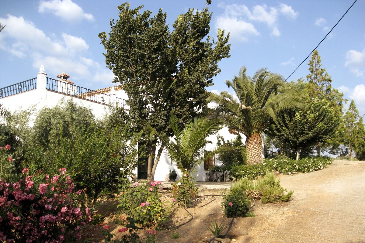 Las Casillas Vacation Rentals & Homes - Andalusia, Spain | Airbnb