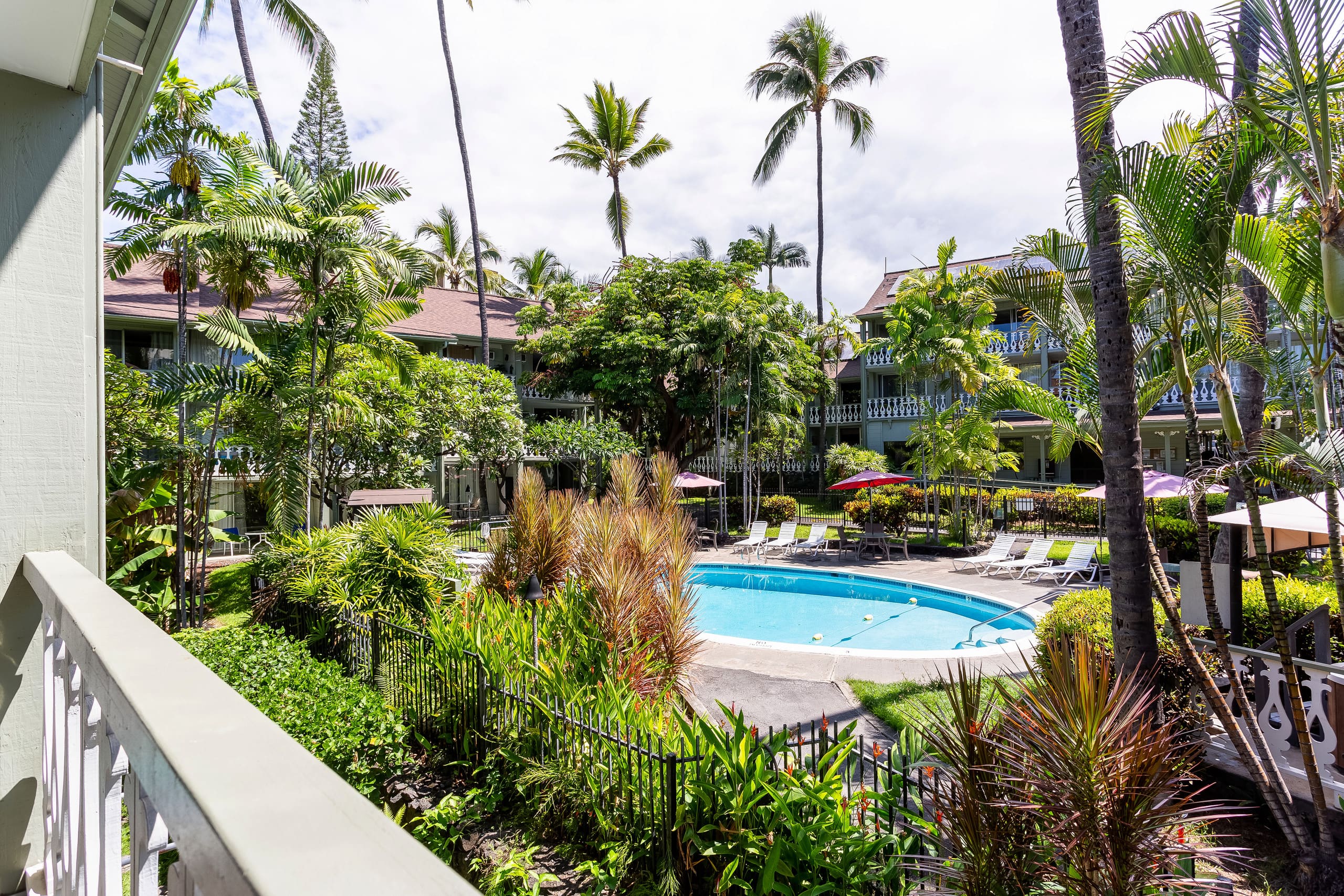 Condo in Kailua-Kona · ★4.9 · Studio · 1 bed · 1 private bath - Image 10
