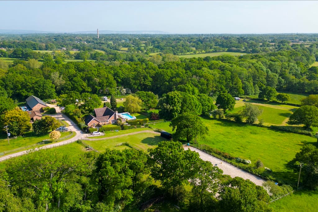 The Lodge, peaceful retreat in The New Forest.