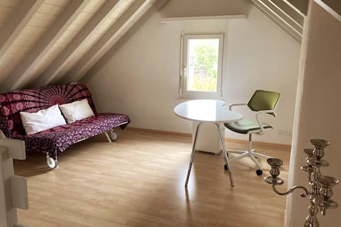 Cozy room and gallery for home office