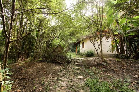 The Stone's Home - Peace and warmth in the Woods