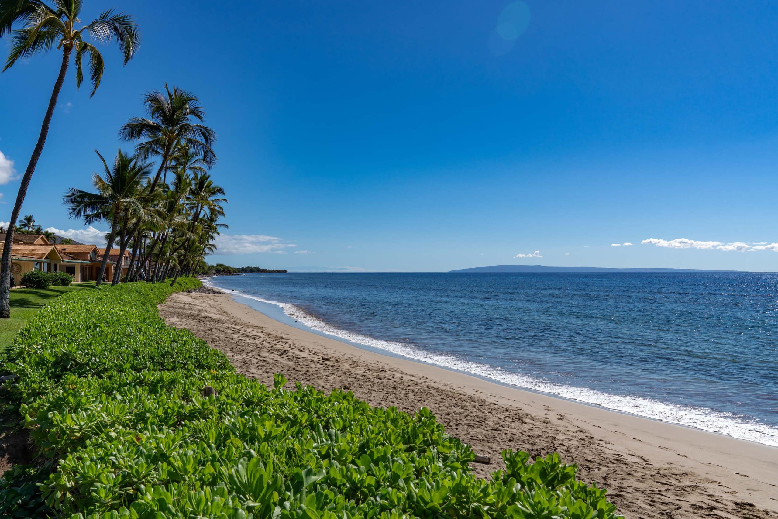 Townhouse in Lahaina · ★4.69 · 3 bedrooms · 4 beds · 3 baths - Image 48
