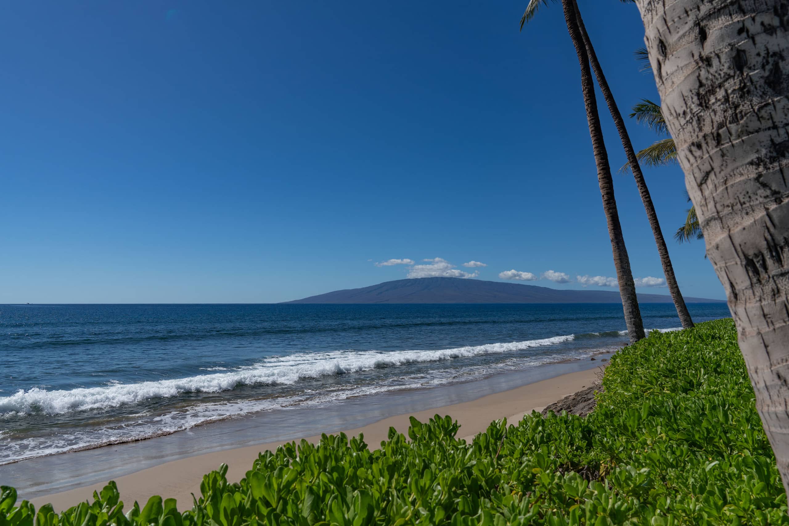 Townhouse in Lahaina · ★4.69 · 3 bedrooms · 4 beds · 3 baths - Image 10