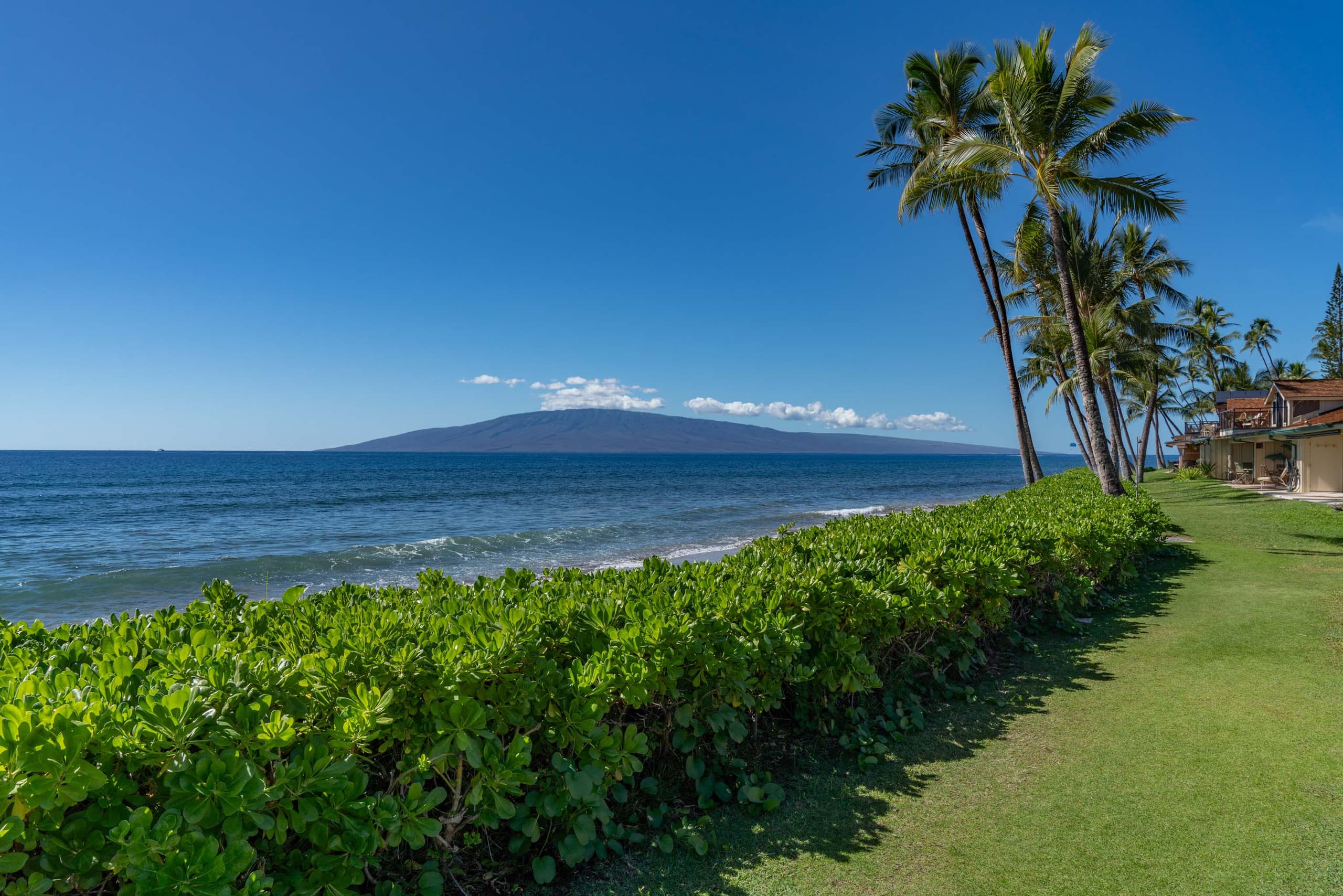 Townhouse in Lahaina · ★4.69 · 3 bedrooms · 4 beds · 3 baths - Image 54