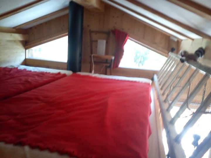 קומת ביניים עם 2 מזרנים - גובה 1,20 מ'
קומת ביניים עם 2 מזרנים - גובה 1,20 מ'
Mezzanine mit 2 Matrazen - 1,20 מ' Höhe