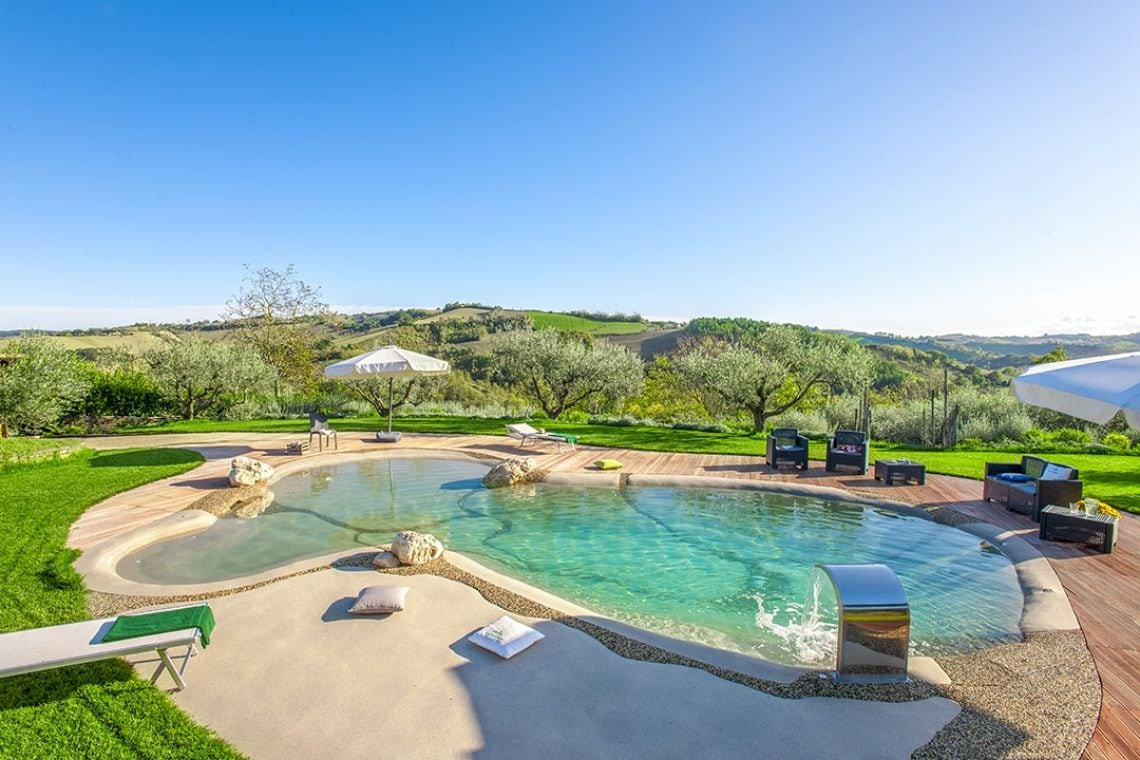 A serene outdoor pool is surrounded by lush green grass and olive trees, offering a tranquil retreat. Comfortable lounge chairs are positioned for relaxation, with umbrellas providing shade. The landscape features rolling hills in the distance under a clear blue sky.