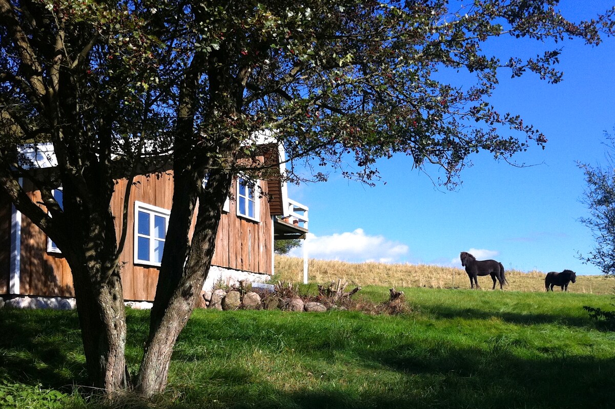 A rustic cottage is framed by a tree, with a wooden exterior and blue windows. In the background, two horses graze on the green hillside under a clear blue sky, offering a tranquil country setting.