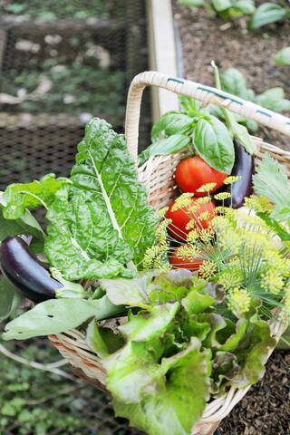 Villa Ondine: Cape Town Beach House gallery image 5