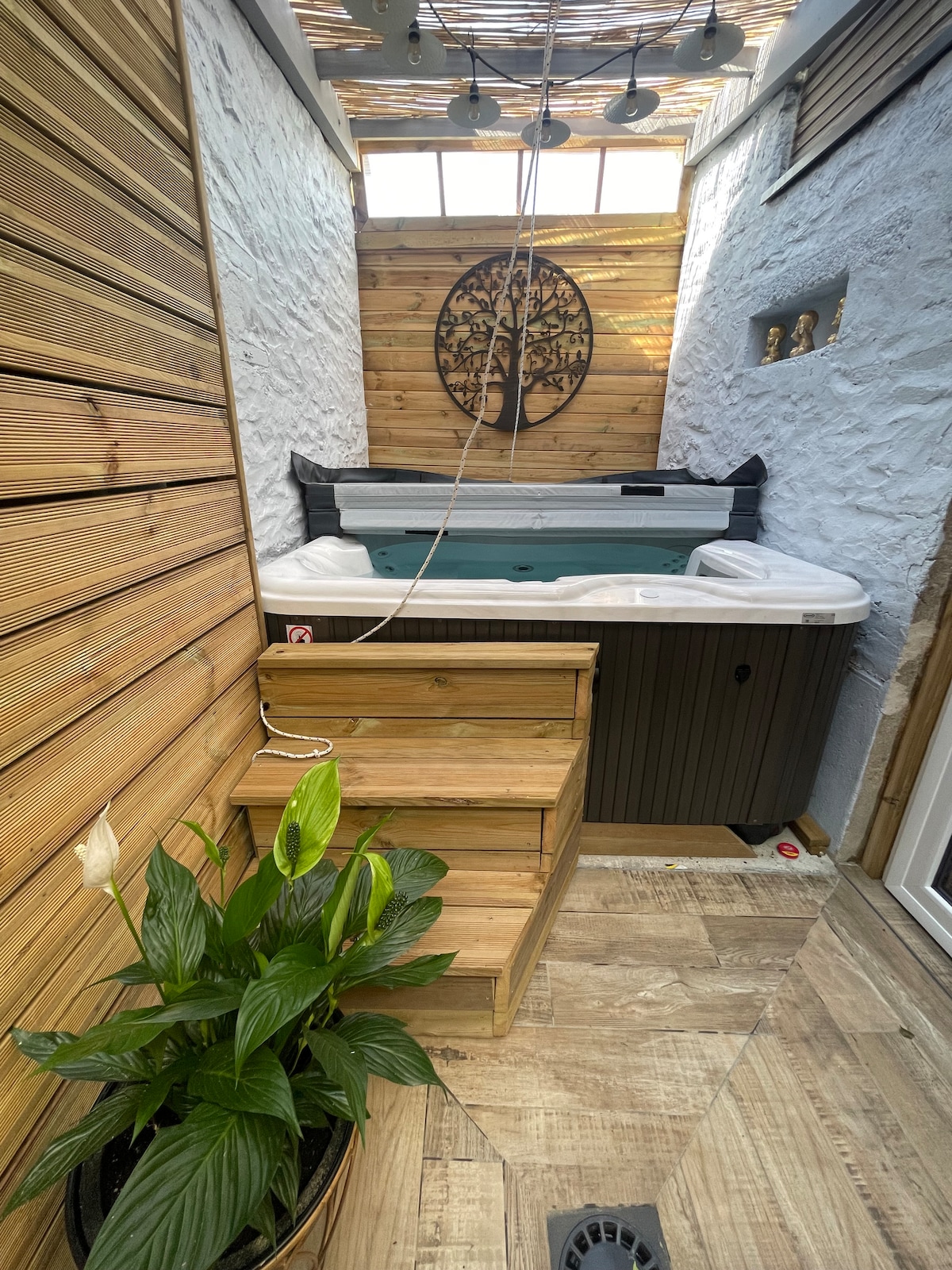 An inviting wellness area features a jacuzzi, complemented by wooden walls and steps leading up to it. Natural light filters through a skylight above, highlighting the serene ambiance. A potted plant adds a touch of greenery to the space.