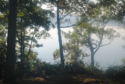 Lake House on Beautiful Kentucky Lake!
